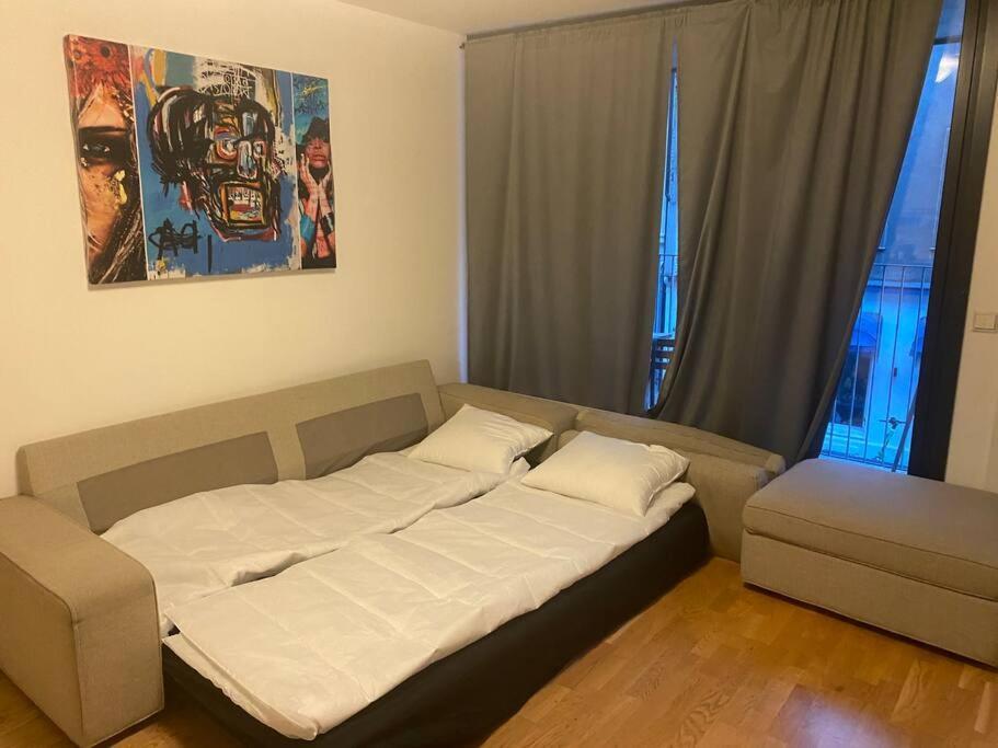 Leilighet Midt I Oslo Sentrum 2 Soverom Og Stue Exteriér fotografie